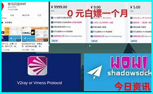 温州旅游团报名一日游